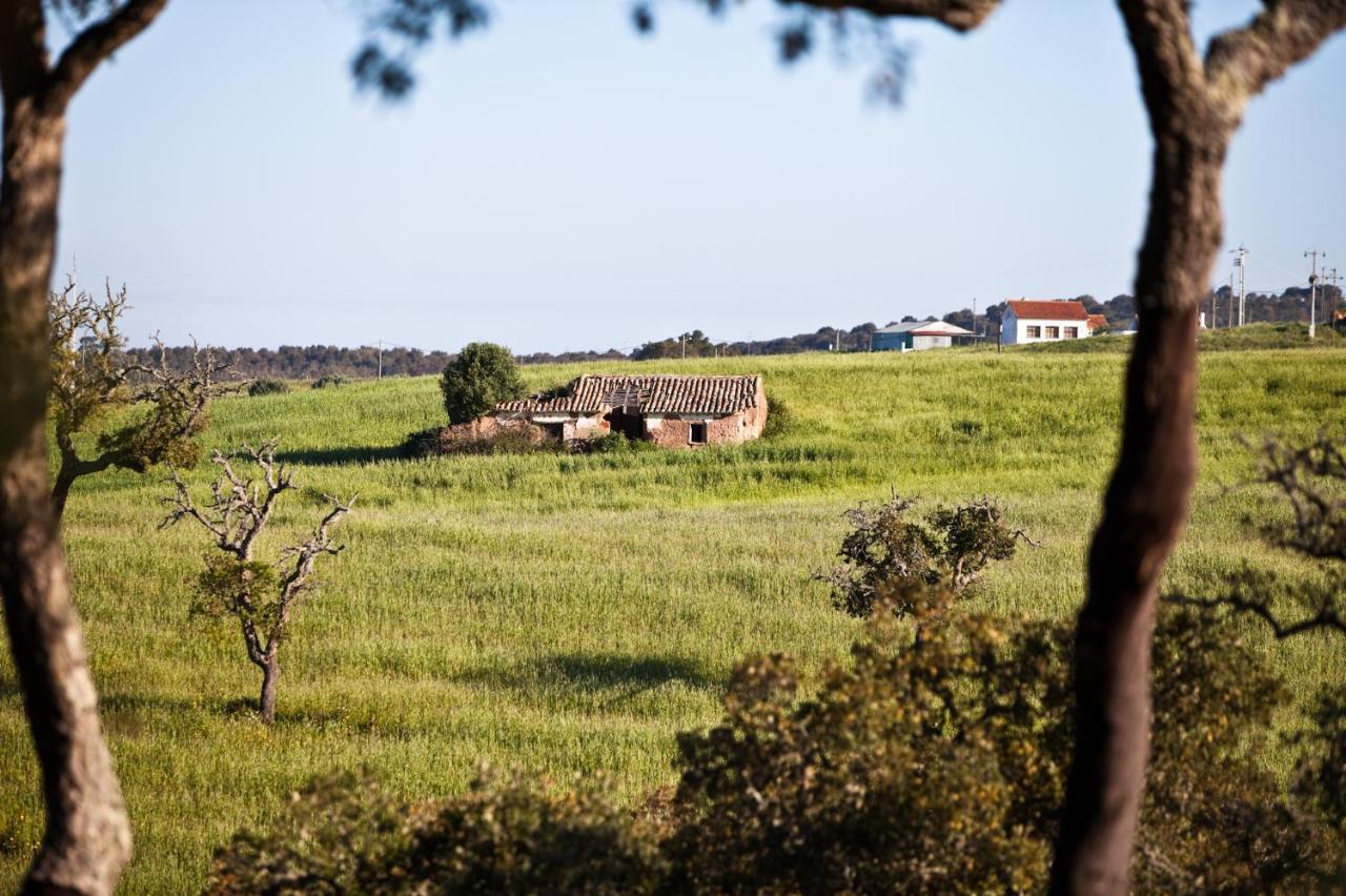סאו לואיס Eco Glamping Portugal Nature Lodge מראה חיצוני תמונה