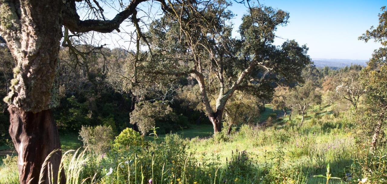 סאו לואיס Eco Glamping Portugal Nature Lodge מראה חיצוני תמונה