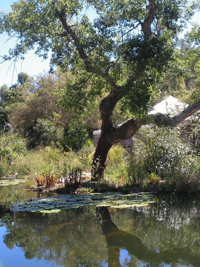 סאו לואיס Eco Glamping Portugal Nature Lodge מראה חיצוני תמונה