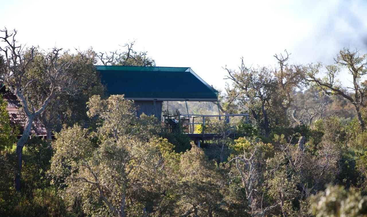 סאו לואיס Eco Glamping Portugal Nature Lodge מראה חיצוני תמונה