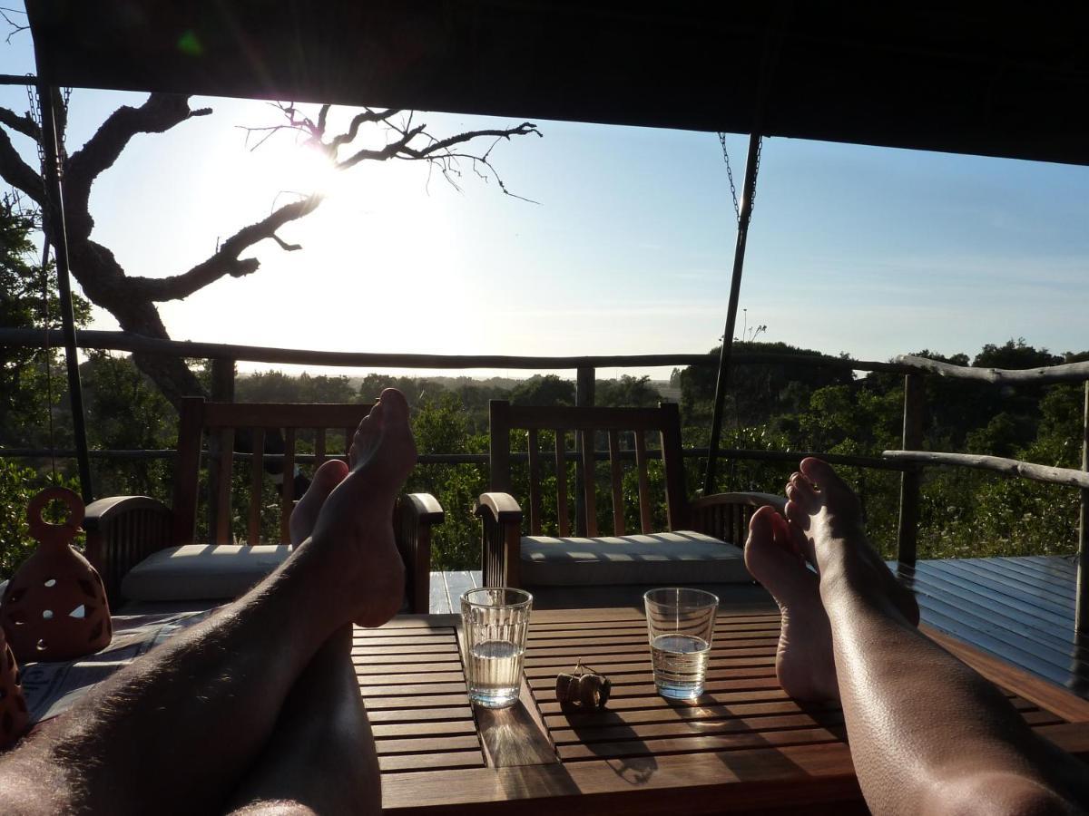 סאו לואיס Eco Glamping Portugal Nature Lodge מראה חיצוני תמונה
