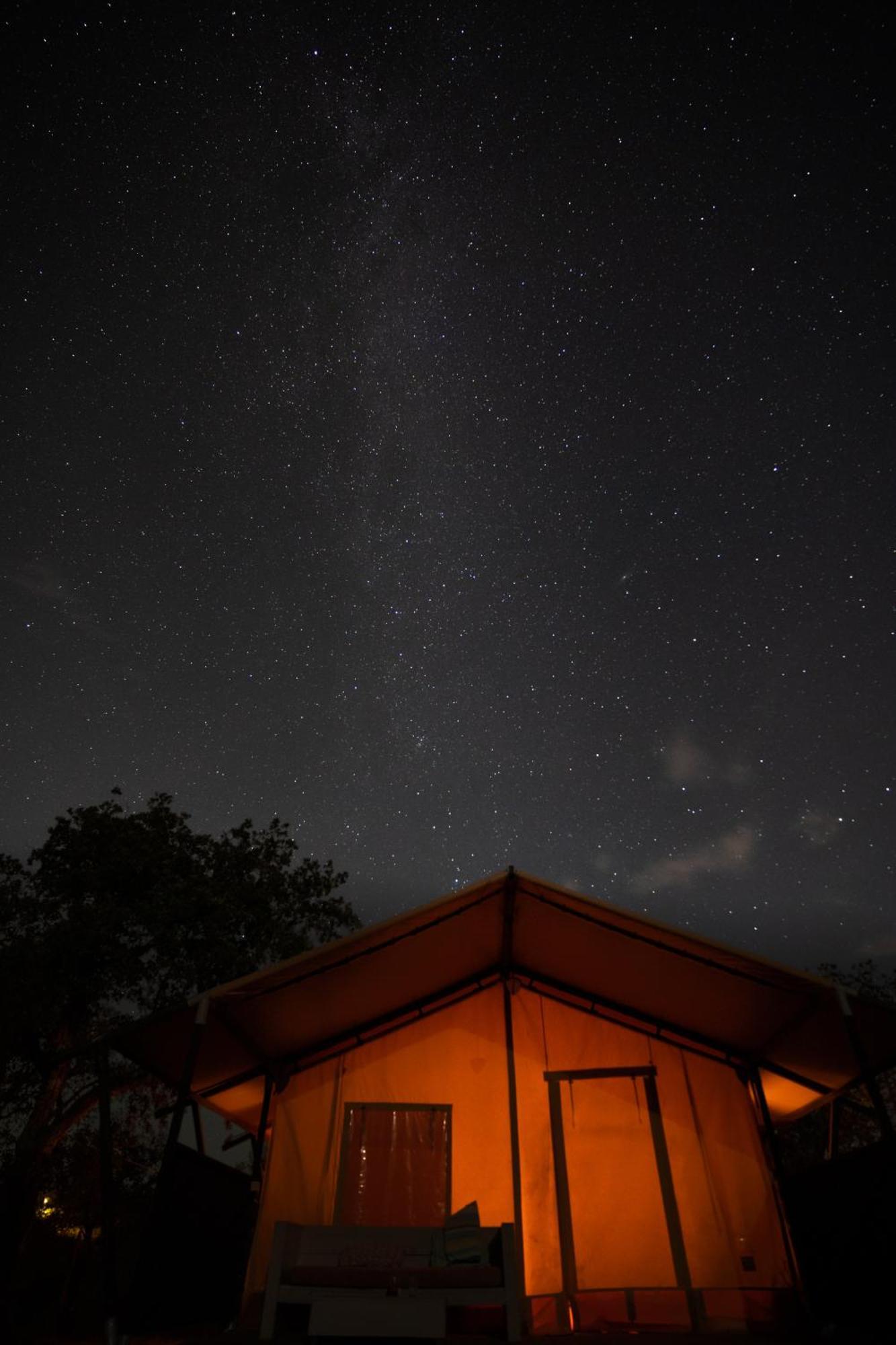 סאו לואיס Eco Glamping Portugal Nature Lodge מראה חיצוני תמונה
