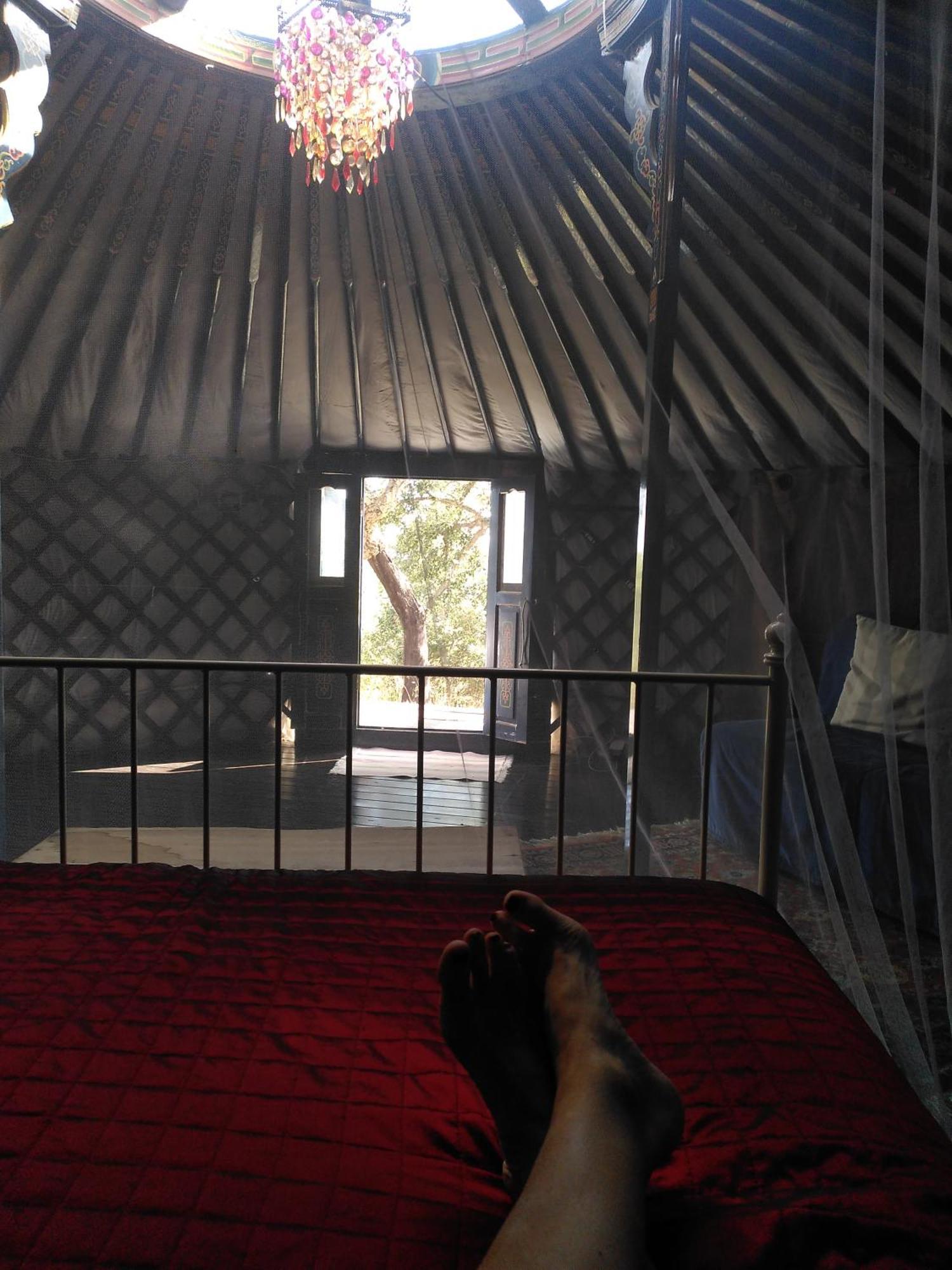 סאו לואיס Eco Glamping Portugal Nature Lodge מראה חיצוני תמונה