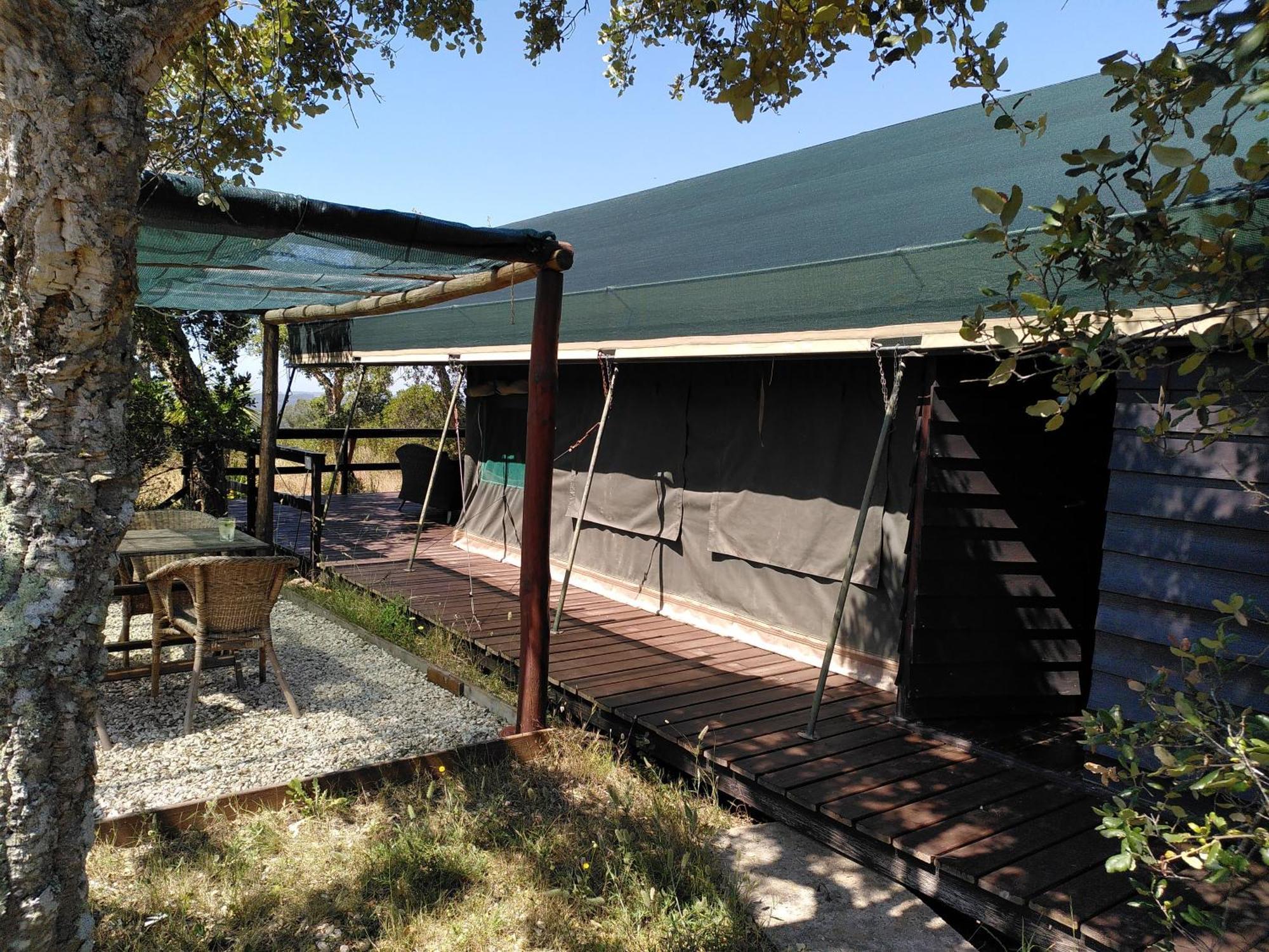 סאו לואיס Eco Glamping Portugal Nature Lodge מראה חיצוני תמונה